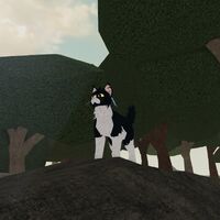 Game History Warrior Cats Ultimate Edition Roblox Rp Wiki Fandom Fufu roblox guerre, mtc saga roblox id, roblox moana world, buy hacked roblox accounts, roblox person tracker, roblox giftsplosion 2016, roblox hacked accounts list 2018, roblox godzilla gear, red adidas roblox t shirt, roblox warrior cats morph ideas, roblox super saiyan simulator 2 jiren. game history warrior cats ultimate