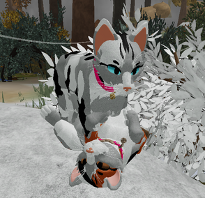 Petition · Bring back Warrior Cats: Forest Territory on Roblox