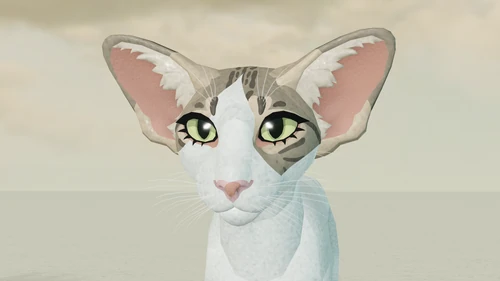 New Cat Model | Warrior Cats: Ultimate Edition (WCUE) Wiki | Fandom