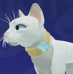 Accessories, Warrior Cats: Ultimate Edition (WCUE) Wiki