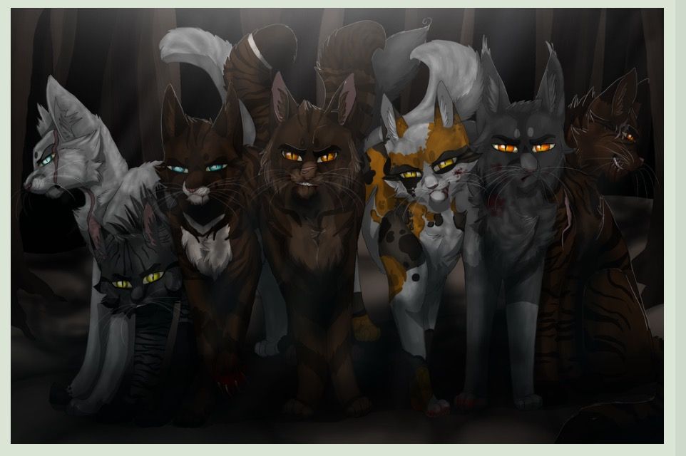 warrior cats dark forest members