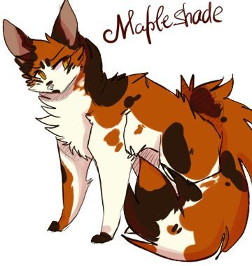 Not very experienced at art but I attempted to do some fan art of  Mapleshade. Got her color and look from the warriors wiki. : r/WarriorCats