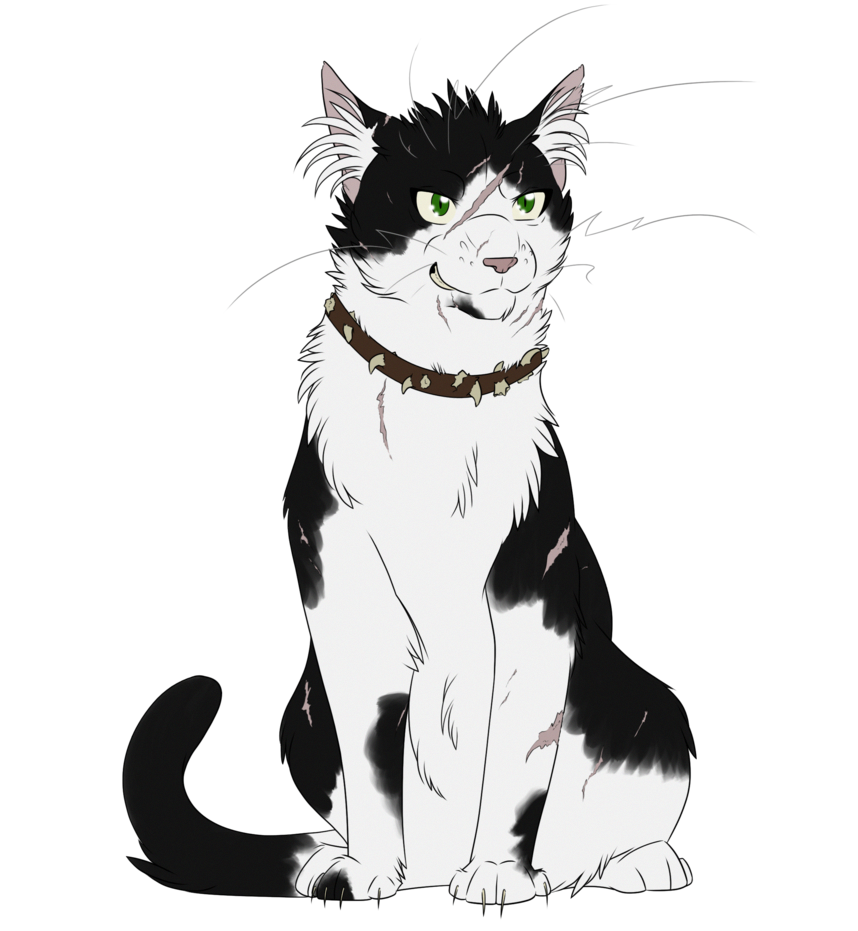 Bone Warrior Cats Villains Wiki Fandom