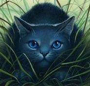 CCBluestar.png (1,16 MB) Blaustern in Von Helden und Verrätern und The Ultimate Guide (2013)