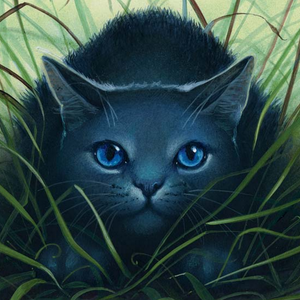 Blaustern | Warrior Cats Wiki | Fandom