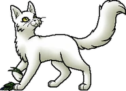 Cloudberry.med.bySheyffer.png (19 KB) Heilerin