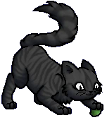 Flypaw.Kit.byCurly.png (23 KB) Junges