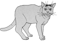 Vogelbeerpfote.Manga.TuS.png (46 KB) Eschenpfote in Tigerstern und Sasha