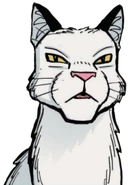 Schwarzstern.Manga.WoC.png (55 KB) Schwarzstern in Wind des Wandels