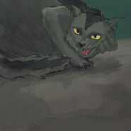 Graupfote.wis.jpg (71 KB) Graupfote aus der Aktion "Wo ist Sammy?"