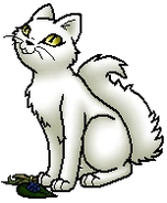 Cloudberry.medapp.bySheyffer.png (17 KB) Heilerschülerin