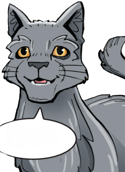 Warrior Cats - Der Dieb des DonnerClans