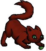 Pinestar.Kit.byCurly.png (24 KB) Junges