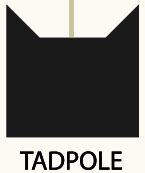 Stammbaum EN Kaulquappe.png (2 KB) Kaulquappes Icon auf dem www.warriorcats.com-Stammbaum