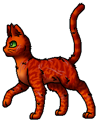 Warrior Cats - Der Dieb des DonnerClans