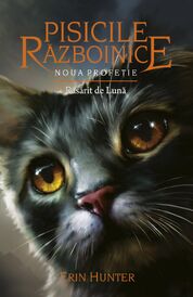 Rumänisches Cover