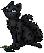 Cinderpelt.MCA.byCurly.png (23 KB) Heilerschülerin