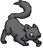 Smokepaw (WC) K.Spooky.png (9 KB) Junges
