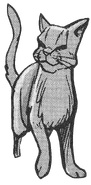 Feuerstern in Tallstar's Revenge