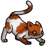 Cherrypaw.J.tabby.byTopas.png (20 KB) Junges (getigert)