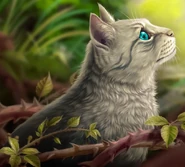 Nebelstern auf dem polnischen Cover von Nebelsterns Omen[83]