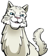 Wolkenschweif in Der Dieb des DonnerClans