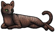 Ältester