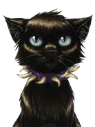 Geißel auf dem Cover von Geißels Rache