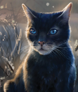 Krähenfeder auf dem Cover von Crowfeather's Trial[86][87]