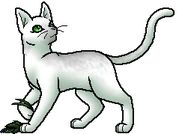 Mothflight.med.bySheyffer.png (19 KB) Heilerin