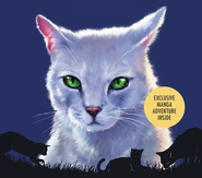 Mottenflug auf dem Cover von Moth Flight's Vision[36][37]