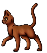 Rowanstar.L.byMohn.png (30 KB) Anführer