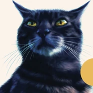 Graustreif auf dem amerikanischen Cover von Graustreifs Versprechen[96]