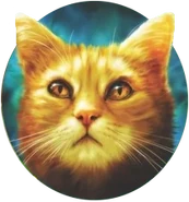 Mottenflügel auf dem Cover von A Warrior's Spirit[48]