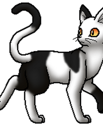 Schwarzohr Warrior Cats Wiki Fandom