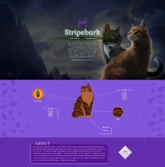 Stripebarks Profil auf der offiziellen englischen Website