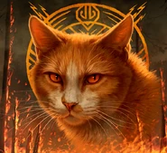 Donner auf dem polnischen Cover von Donnerschlag[65]