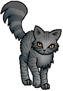 Mintfur.R.byMohn.png (35 KB) Streuner