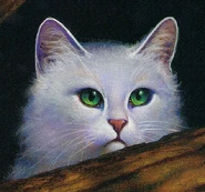 TUG-Moth Flight.png (992 KB) Mottenflug in The Ultimate Guide (2013)