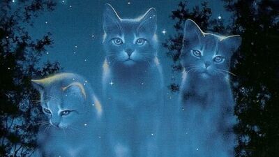 Warrior Cats Wiki | Fandom
