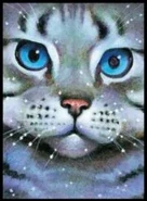 Federschweif auf dem Cover von Moonrise[51][52]