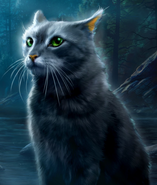 Flussstern auf dem amerikanischen Cover von Riverstar's Home[34][35] und in The Ultimate Guide (2023)