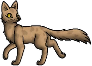 OwlFeather.MC.byTopas.png (30 KB) Katze der Berge