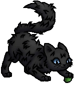 Cinderpelt.Kit.byCurly.png (20 KB) Junges