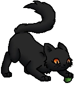 Plumwillow K.Spooky.png (8 KB) Junges