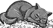 Gelbzahn in Yellowfang's Secret