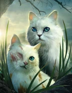 Lichtherz (links) und Wolkenschweif (rechts) in The Ultimate Guide (2023)