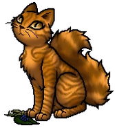 Mothwing.MedicineCatApp.byCurly.png (41 KB) Heilerschülerin