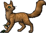 Brackenheart.H.byTopas.png (44 KB) Heiler
