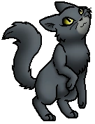 Schneeflocke.KeinClan-Junges.KittyVanilla.png (15 KB) Einzelläuferjunges